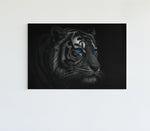 Tijger met Blauwe Ogen Canvas Schilderij