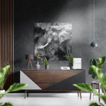Olifant in rokerige monochrome tinten – Dibond Schilderij