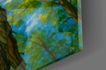 Swirling Sky Treetop Canopy Glass Wall Art