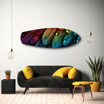 Rainbow Feather Macro Glass Wall Art.