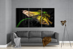 Glass Wall Art