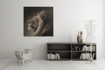 Leeuw – Vierkante Canvas Wanddecoratie – Canvas Schilderij als Wanddecoratie