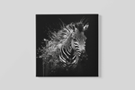 Zebra – Canvas Wandkunst in Vierkante Uitvoering