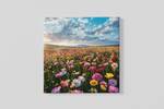 Bloemenveld – Modern Canvas Schilderij – Vierkant Canvas Kunst voor de Muur
