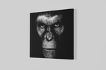 Gorilla – Vierkant Canvas Kunstwerk voor het Interieur