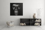 Gorilla – Vierkant Canvas Kunstwerk voor het Interieur