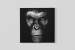 Gorilla – Vierkant Canvas Kunstwerk voor het Interieur