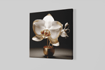 Orchidee – Canvas Decoratie voor de Wand