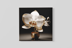 Orchidee – Canvas Decoratie voor de Wand