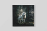 Witte Wolf – Canvas Wandkunst in Vierkante Uitvoering