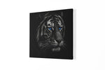Tijger met blauwe Ogen – Vierkante Canvas Wandkunst