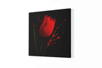 Bloem Rode tulp – Vierkante Canvas Wanddecoratie – Canvas Decoratie voor de Wand