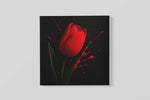 Bloem Rode tulp – Vierkante Canvas Wanddecoratie – Canvas Decoratie voor de Wand