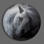 Buigend wit paard – Rond Glasschilderij