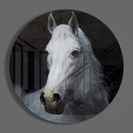 Portret van een wit paard – Rond Glasschilderij