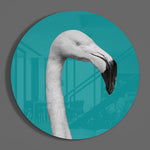 Witte flamingo in een petrolkleurige cirkel – Rond Glasschilderij