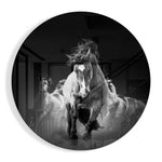 Zwart-wit springend paard – Rond Glasschilderij