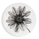Monochrome gazania – Rond Glasschilderij