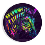Zebra met regenboogverfdruipers – Rond Glasschilderij