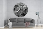 Geschilderd olifantenprofiel in monochroom – Rond Glasschilderij