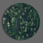 Groen bos – Rond Glasschilderij