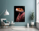 Red Stare Viper Glass Wall Art || Designer Collection