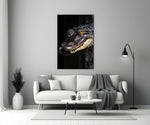 Eyes of the Swamp Glass Wall Art || Designer Collection