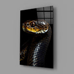 Golden-Eyed Black Snake Glass Wall Art || Designer Collection
