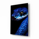 Eyes of the Blue Viper Glass Wall Art || Designer Collection