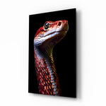 Eyes of the Fiery Serpent Glass Wall Art || Designer Collection