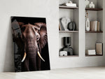 The Wise Look of the Elephant Glass Wall Art || Designer Collection