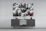 Wolf in Sheep's Clothing Glass Wall Art || Designer Collection