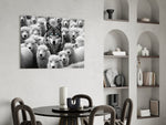 Wolf in Sheep's Clothing Glass Wall Art || Designer Collection