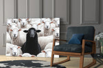 The Difference of the Black Lamb Flock Glass Wall Art || Designer Collection
