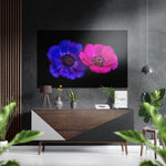 Violet-Roze Anemonenpaar