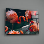 Flamingos Glass Wall Art.
