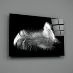 Feather Glass Wall Art.