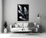 Feather Glass Wall Art.