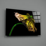 Flower Glass Wall Art.