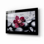 Bordeaux Orchidee met Spa-stenen – Glasschilderij