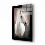 Dromerig Wit Paard – Glasschilderij
