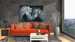 Witte Paarden met Bloem Canvas Schilderij