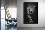 Luipaard in Zwart Canvas Schilderij