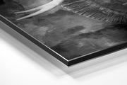 Olifant in rokerige monochrome tinten – Dibond Schilderij