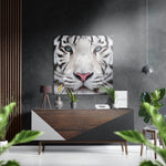 Witte tijger – Dibond Schilderij