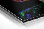 Vrouwenprofiel met neongloed – Dibond Schilderij