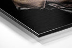 Zilver-gouden metallic roos – Dibond Schilderij
