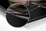 Zilver-gouden metallic roos – Dibond Schilderij