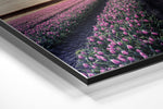 Tulpenveld – Dibond Schilderij