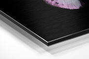 Roze-witte vlinder – Dibond Schilderij